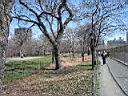 132 Central_Park.jpg
